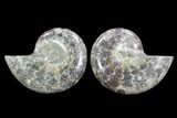 Cut & Polished Ammonite (Anapuzosia?) Pair - Madagascar #88021-1